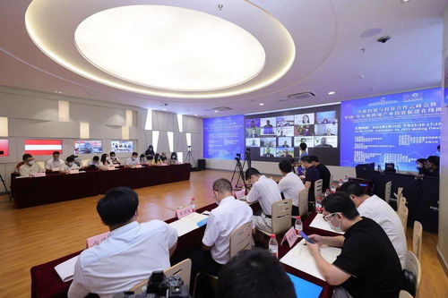 攜手云端 共贏未來 中歐經(jīng)貿(mào)與投資合作云峰會(huì)暨中國-中東歐跨境產(chǎn)業(yè)投資促進(jìn)在線推介會(huì)圓滿落幕